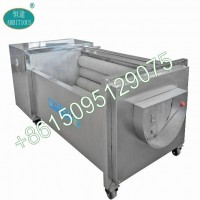 Brush Ginger Washing And Peeling Machine