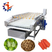 Fruit Ginger Potato Brush Roller Peeling Washing Machine