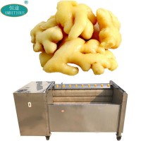 Brush Roller Peeling Machines Pickled Ginger Washing Machine